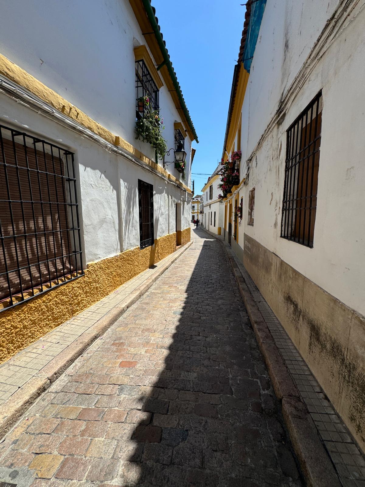 Gallery immagine: Andalusia - 420
